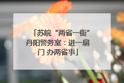 苏皖“两省一街”丹阳警务室：进一扇门 办两省事