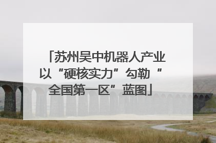 苏州吴中机器人产业以“硬核实力”勾勒“全国第一区”蓝图