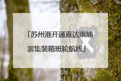 苏州港开通直达柬埔寨集装箱班轮航线