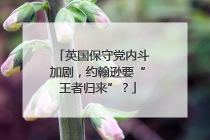 英国保守党内斗加剧，约翰逊要“王者归来”？
