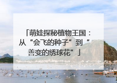 萌娃探秘植物王国：从“会飞的种子”到“善变的绣球花”