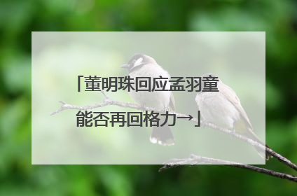 董明珠回应孟羽童能否再回格力→