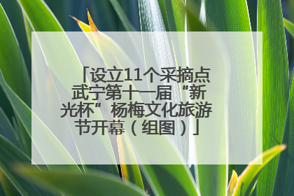 设立11个采摘点 武宁第十一届“新光杯”杨梅文化旅游节开幕（组图）