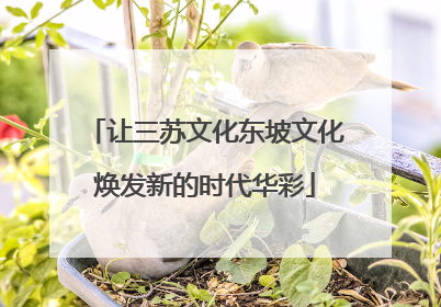 让三苏文化东坡文化焕发新的时代华彩