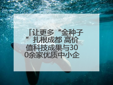 让更多“金种子”扎根成都 高价值科技成果与300余家优质中小企业精准对接