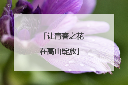 让青春之花在高山绽放
