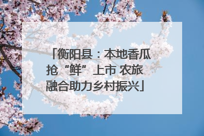 衡阳县：本地香瓜抢“鲜”上市 农旅融合助力乡村振兴