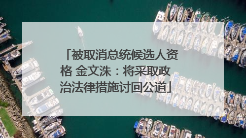 被取消总统候选人资格 金文洙：将采取政治法律措施讨回公道