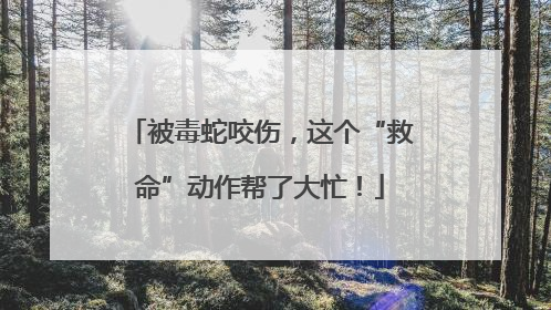 被毒蛇咬伤，这个“救命”动作帮了大忙！
