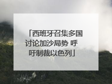 西班牙召集多国讨论加沙局势 呼吁制裁以色列