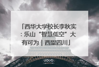 西华大学校长李秋实：乐山“智慧低空”大有可为｜西望四川