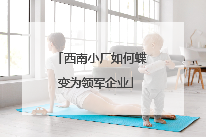 西南小厂如何蝶变为领军企业