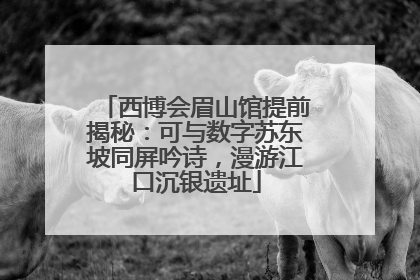 西博会眉山馆提前揭秘：可与数字苏东坡同屏吟诗，漫游江口沉银遗址