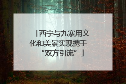 西宁与九寨用文化和美景实现携手“双方引流”