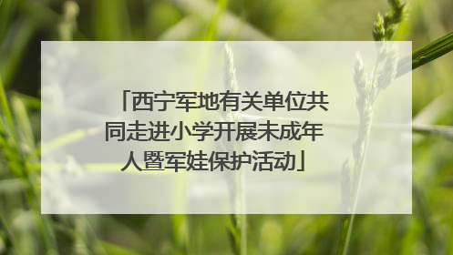 西宁军地有关单位共同走进小学开展未成年人暨军娃保护活动