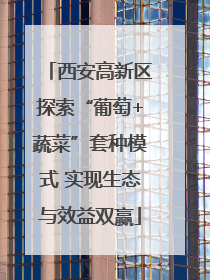 西安高新区探索“葡萄+蔬菜”套种模式 实现生态与效益双赢