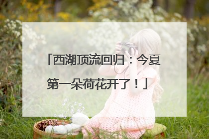 西湖顶流回归：今夏第一朵荷花开了！