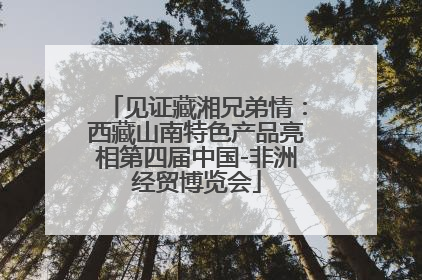 见证藏湘兄弟情：西藏山南特色产品亮相第四届中国-非洲经贸博览会