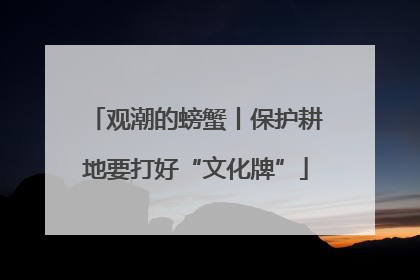观潮的螃蟹丨保护耕地要打好“文化牌”