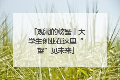 观潮的螃蟹丨大学生创业在这里“望”见未来