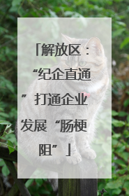 解放区：“纪企直通”打通企业发展“肠梗阻”