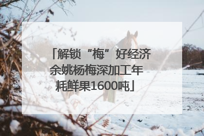 解锁“梅”好经济 余姚杨梅深加工年耗鲜果1600吨