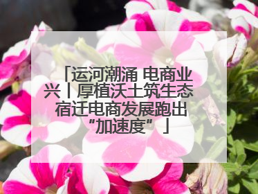 运河潮涌 电商业兴丨厚植沃土筑生态 宿迁电商发展跑出“加速度”