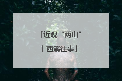 近观“两山”丨西溪往事