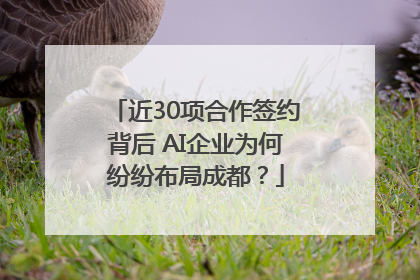 近30项合作签约背后 AI企业为何纷纷布局成都？