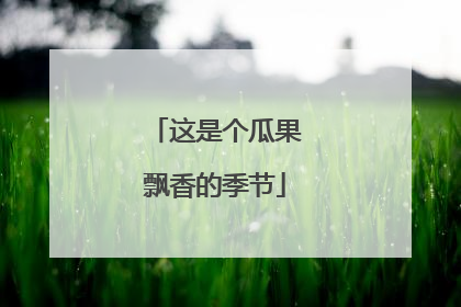 这是个瓜果飘香的季节