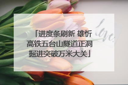 进度条刷新 雄忻高铁五台山隧道正洞掘进突破万米大关