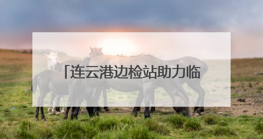 连云港边检站助力临时启用泊位首艘国际航行船舶高效通关