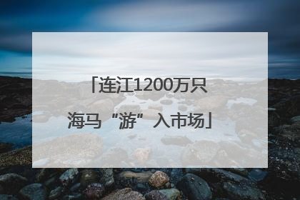 连江1200万只海马“游”入市场