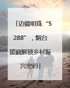边疆明珠“5288”，烟台援藏解锁乡村振兴密码