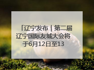 辽宁发布｜第二届辽宁国际友城大会将于6月12日至13日在沈阳举办