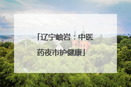 辽宁岫岩：中医药夜市护健康