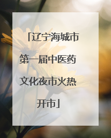 辽宁海城市第一届中医药文化夜市火热开市