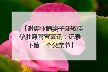 谢震业晒妻子陆敏佳孕肚照官宣喜讯：记录下第一个父亲节