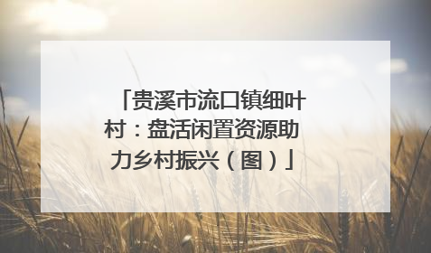 贵溪市流口镇细叶村：盘活闲置资源助力乡村振兴（图）