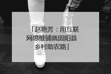 赵艳芳：用互联网思维铺就固阳县乡村助农路