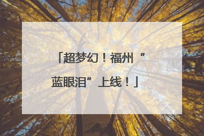 超梦幻！福州“蓝眼泪”上线！