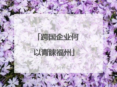 跨国企业何以青睐福州