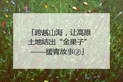 跨越山海，让高原土地结出“金果子”——援青故事②