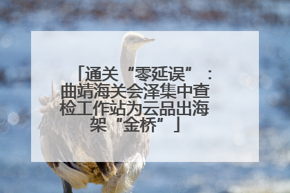通关“零延误”：曲靖海关会泽集中查检工作站为云品出海架“金桥”