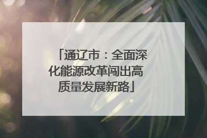 通辽市：全面深化能源改革闯出高质量发展新路