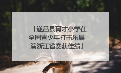 遂昌县育才小学在全国青少年打击乐展演浙江省赛获佳绩