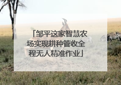 邹平这家智慧农场实现耕种管收全程无人精准作业