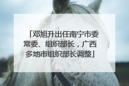 邓旭升出任南宁市委常委、组织部长，广西多地市组织部长调整