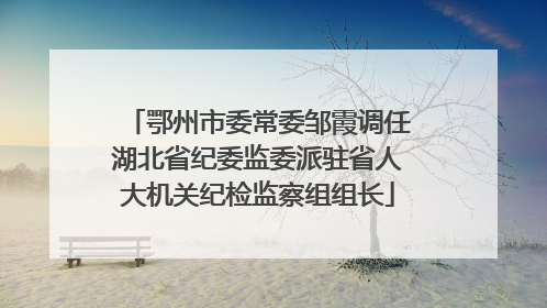 鄂州市委常委邹霞调任湖北省纪委监委派驻省人大机关纪检监察组组长