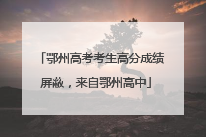 鄂州高考考生高分成绩屏蔽，来自鄂州高中